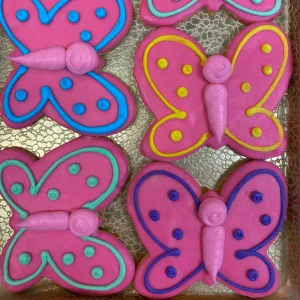 Butterfly Cookie