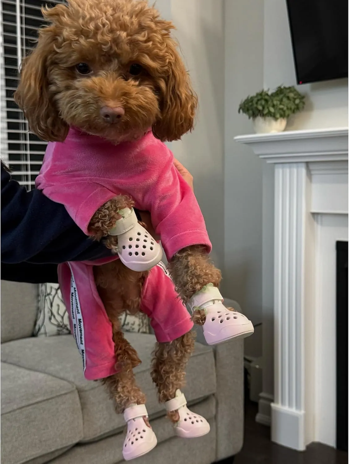 Dog Shoes: Non-Slip Waterproof Sandals for Hot Pavement & Winter, Breathable Perforated Boots, Large/Medium/Small Sizes, Ideal Paw Protector, Outdoor Clog Booties (Purple,Size 3: (2.24’’x1.85’’)(L*W))