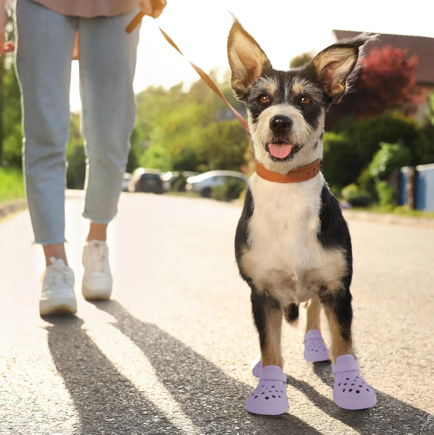 Dog Shoes: Non-Slip Waterproof Sandals for Hot Pavement & Winter, Breathable Perforated Boots, Large/Medium/Small Sizes, Ideal Paw Protector, Outdoor Clog Booties (Purple,Size 3: (2.24’’x1.85’’)(L*W))