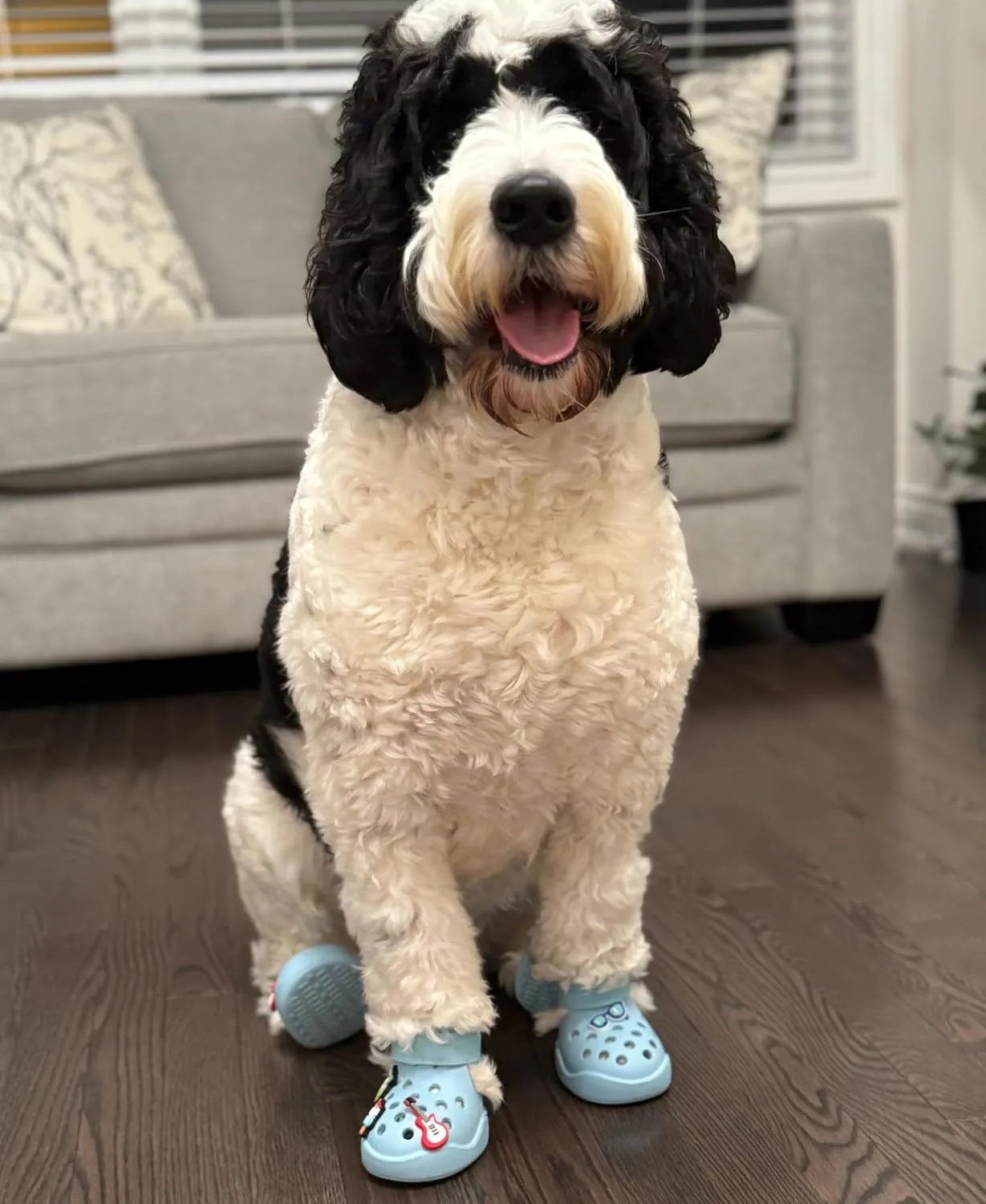 Dog Shoes: Non-Slip Waterproof Sandals for Hot Pavement & Winter, Breathable Perforated Boots, Large/Medium/Small Sizes, Ideal Paw Protector, Outdoor Clog Booties (Purple,Size 3: (2.24’’x1.85’’)(L*W))