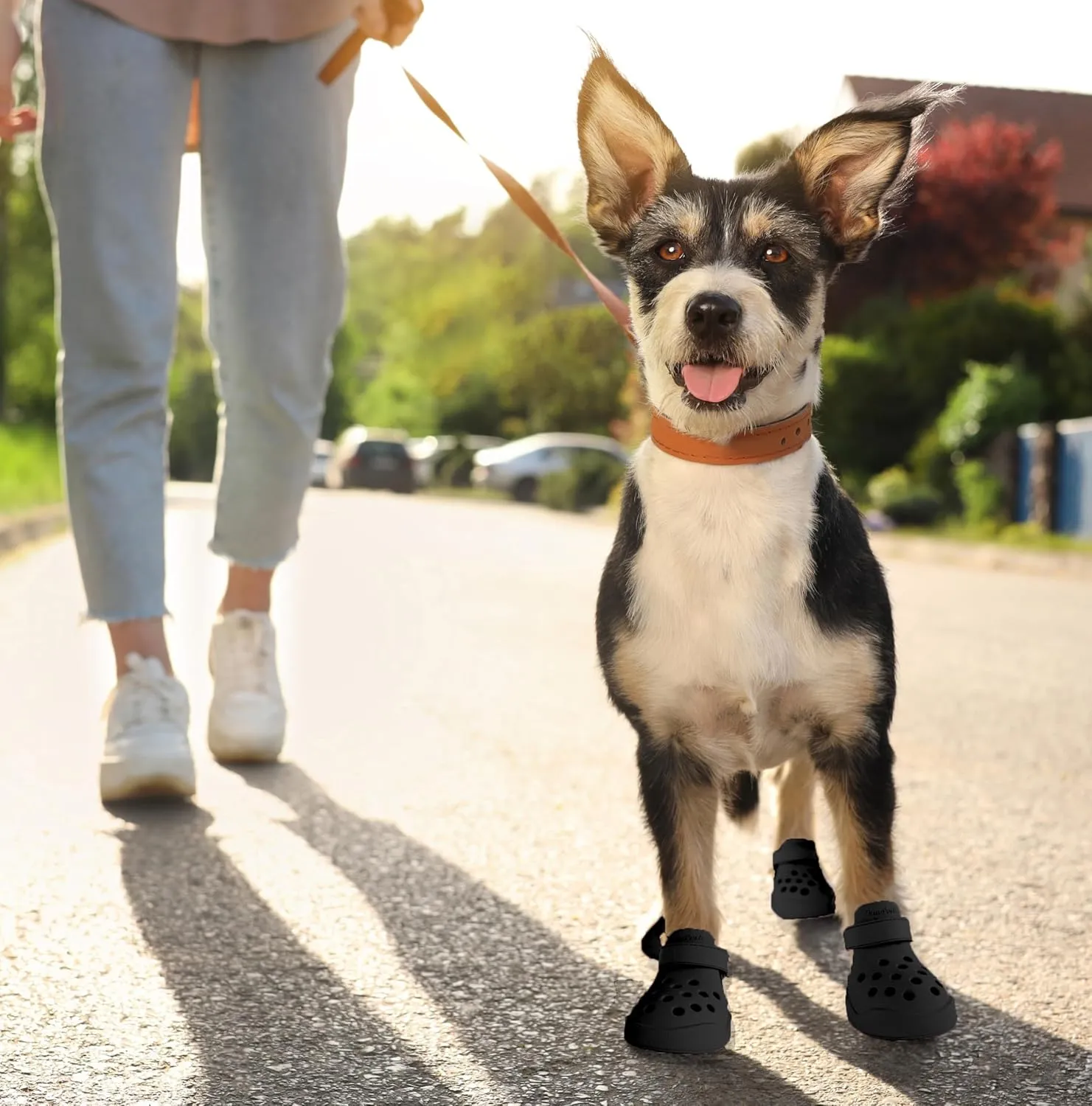 Dog Shoes: Non-Slip Waterproof Sandals for Hot Pavement, Breathable Perforated Boots, Large/Medium/Small Sizes, Ideal Paw Protector, Outdoor Clog Booties (Black, Size 3: (2.09’’x1.61’’)(L*W))