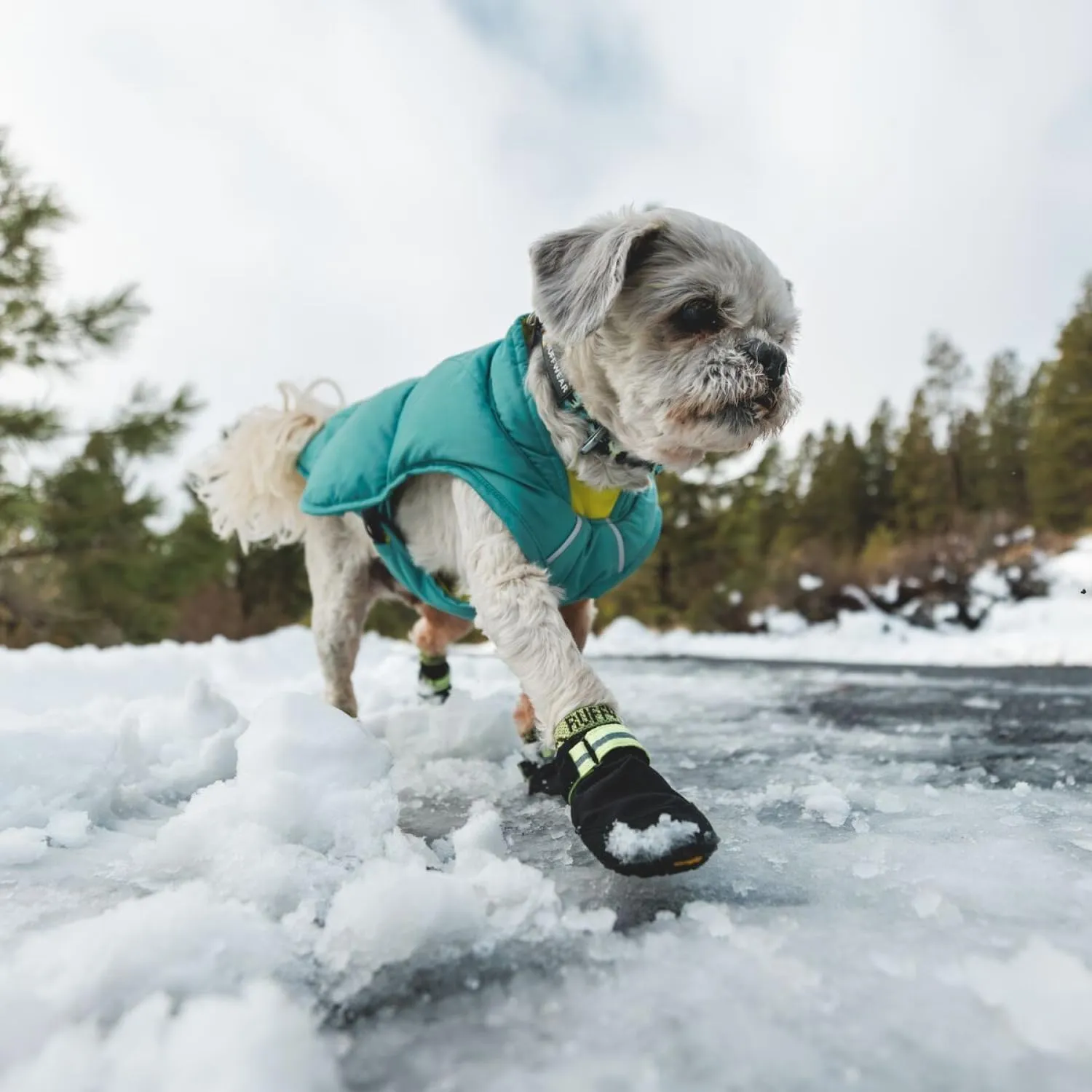 Ruffwear, Summit Trex Shoes, Dog Boots for Everyday Use, Obsidian Black, 3.00"